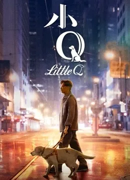 小Q(无障碍解说版)