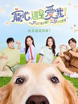 宠他,还是爱我?