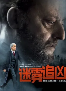 迷雾追凶国语